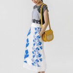 _DSR4279 - コピー